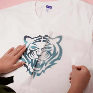 Customize Heat Transfer